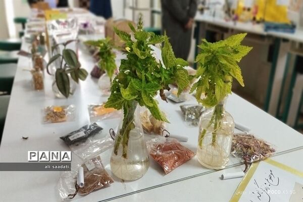 بازید مدیر آموزش و‌ پرورش شهرستان کلات از نمایشگاه هفته پژوهش و فناوری پژوهشسرای ابوریحان