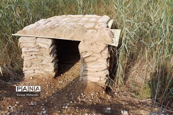 بازدید کاروان فرهنگیان راهیان نور شهرستان شیروان از مناطق جنگی جنوب