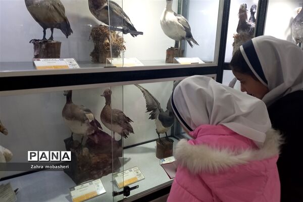 بازدید دانش‌آموزان مدرسه ظریف‌کارفرد از موزه تاریخ طبیعی