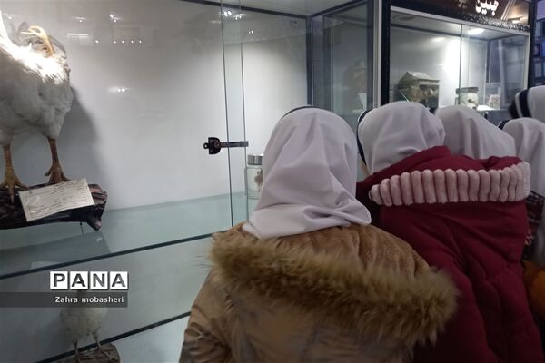 بازدید دانش‌آموزان مدرسه ظریف‌کارفرد از موزه تاریخ طبیعی