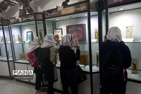 بازدید دانش‌آموزان مدرسه ظریف‌کارفرد از موزه تاریخ طبیعی