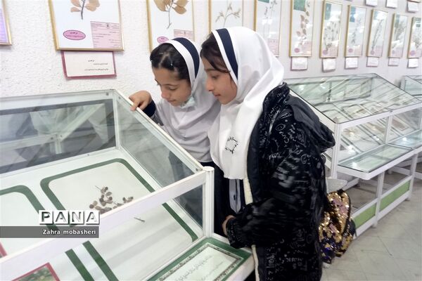 بازدید دانش‌آموزان مدرسه ظریف‌کارفرد از موزه تاریخ طبیعی