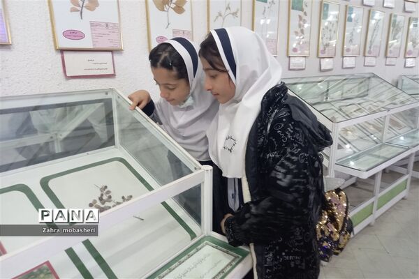بازدید دانش‌آموزان مدرسه ظریف‌کارفرد از موزه تاریخ طبیعی