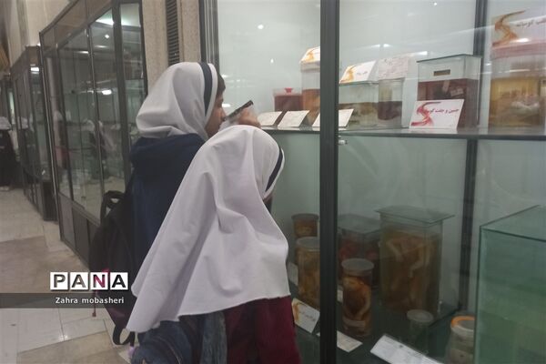 بازدید دانش‌آموزان مدرسه ظریف‌کارفرد از موزه تاریخ طبیعی