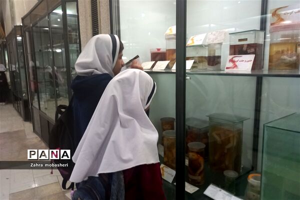 بازدید دانش‌آموزان مدرسه ظریف‌کارفرد از موزه تاریخ طبیعی
