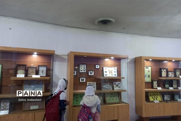 بازدید دانش‌آموزان مدرسه ظریف‌کارفرد از موزه تاریخ طبیعی