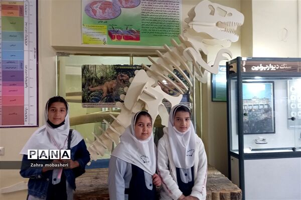 بازدید دانش‌آموزان مدرسه ظریف‌کارفرد از موزه تاریخ طبیعی