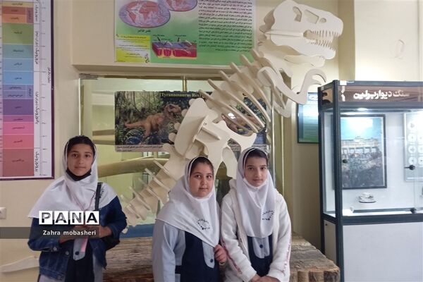 بازدید دانش‌آموزان مدرسه ظریف‌کارفرد از موزه تاریخ طبیعی