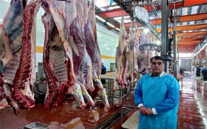 عرضه ۱۹۲ هزار تن گوشت انواع طیور در کشتارگاه‌های رسمی کشور در آبان ۱۴۰۲