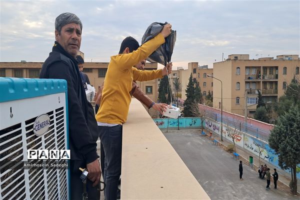 مسابقات جهانی نجات تخم مرغ در مدرسه نمونه دولتی البرز شهریار