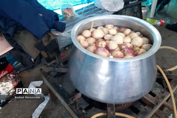 برپایی موکب نوجوانان مسجد سیدالشهدا شیراز