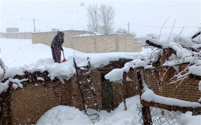 قصهِ نذرِ مردی 84 ساله برای حفاظت از محیط زیست در جشنواره سینما حقیقت