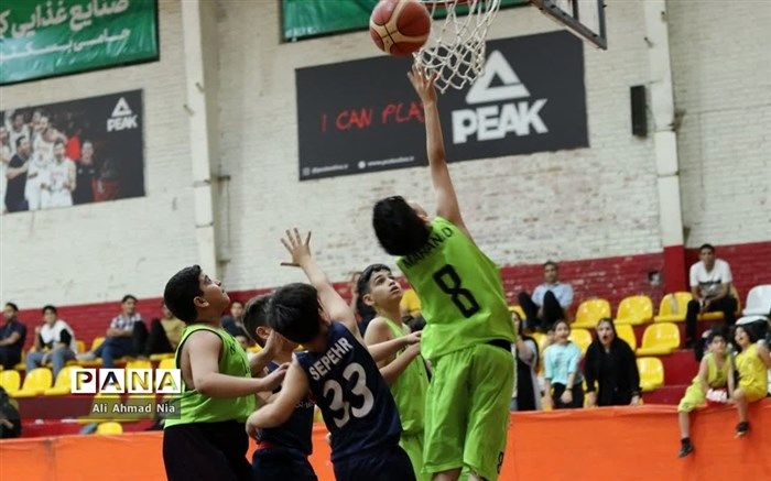 کم‌رنگی بسکتبال در آموزش‌وپرورش به ضرر ورزش کشور است