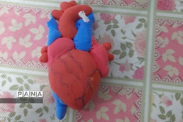 نمایشگاه زیست شناسی در مدرسه مریم عذرا دماوند