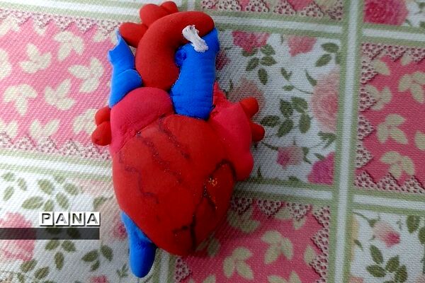 نمایشگاه زیست شناسی در مدرسه مریم عذرا دماوند