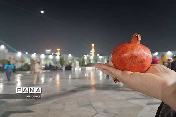 یلدای امام رضایی