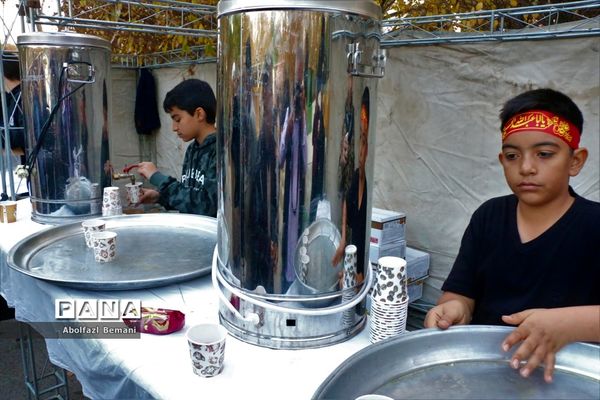 جلوه‌هایی از حضور نوجوانان و جوانان در مراسم وداع با لاله‌های فاطمی