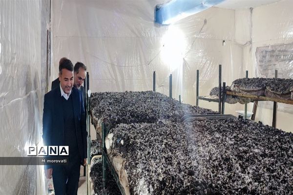 بازدید از کاشت قارچ و  گلخانه کاشت و پرورش خیار در هنرستان کشاورزی هاشمی نژاد شهر آشخانه