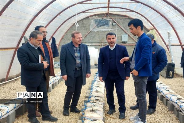 بازدید از کاشت قارچ و  گلخانه کاشت و پرورش خیار در هنرستان کشاورزی هاشمی نژاد شهر آشخانه