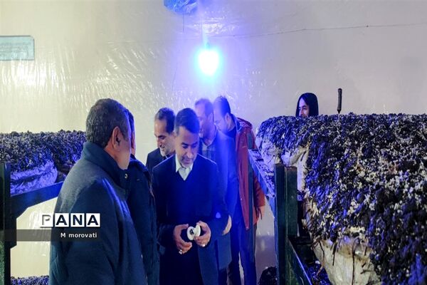 بازدید از کاشت قارچ و  گلخانه کاشت و پرورش خیار در هنرستان کشاورزی هاشمی نژاد شهر آشخانه