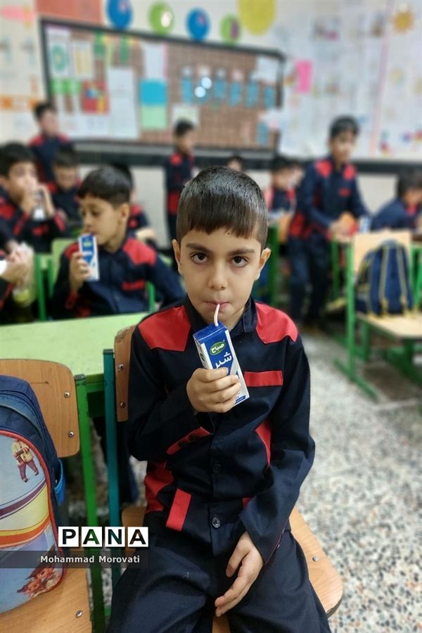 طرح سراسری توزیع شیر رایگان در مدارس مانه وسملقان