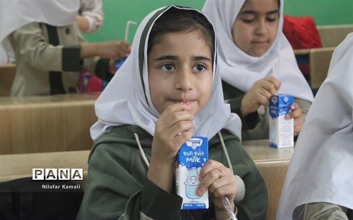 دانش‌آموزان معمولان‌ از شیر رایگان بهره‌مند شدند