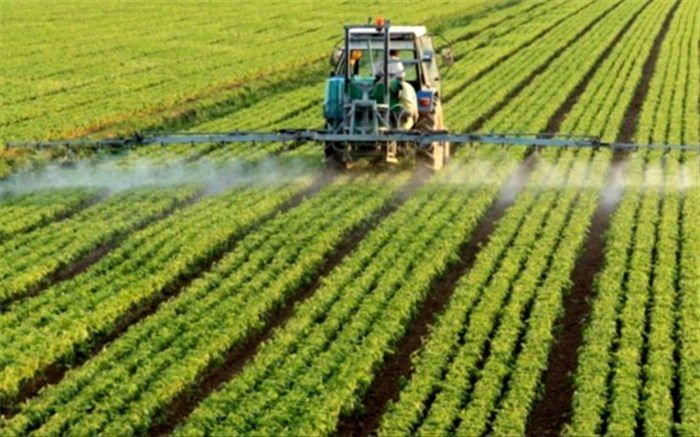 خودکفایی و کاهش خروج ارز دو کارکرد واگذاری اراضی دولت به کشاورزان