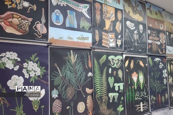 بازدید علمی دانش آموزان دبستان لطیفه از پژوهش سرای رازی ناحیه ۷