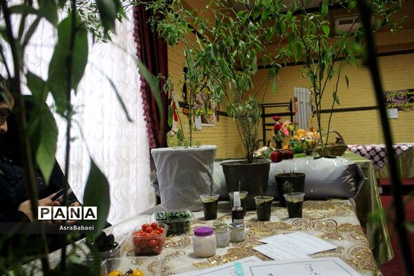 نمایشگاه دستاوردهای هنرستان های دخترانه
