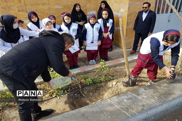 پویش ملی کاشت یک میلیارد درخت در مدارس شهریار