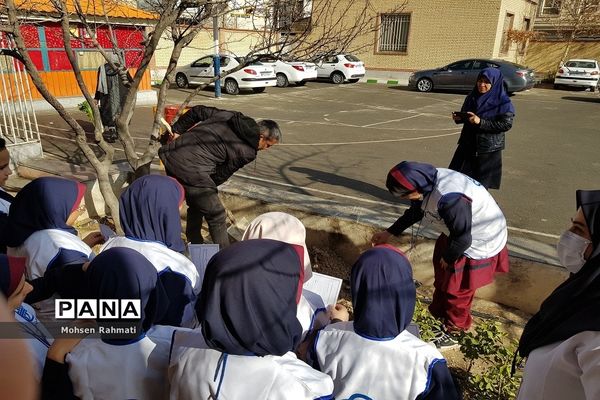 پویش ملی کاشت یک میلیارد درخت در مدارس شهریار