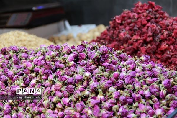 هفته فرهنگی شهرستان اسلامشهر