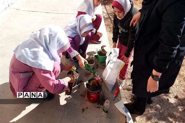 برگزاری روز بدون کیف و کتاب در دبستان بوستان شهرستان بن
