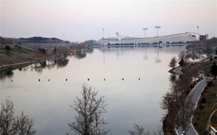 امواج جوانگرایی در فدراسیون قایقرانی