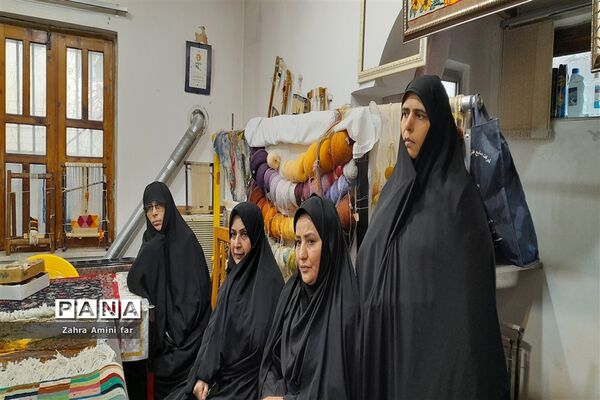 ما پشتیبان مشاغل بانوان شهرستان نور هستیم