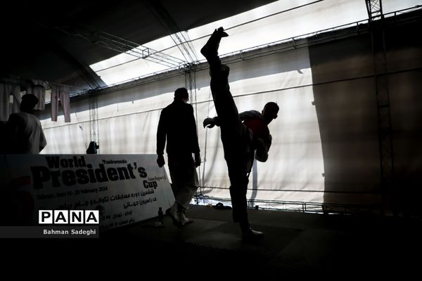 سی و سومین دوره مسابقات بین المللی تکواندو جام فجر