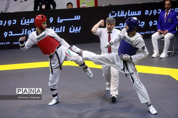 سی و سومین دوره مسابقات بین المللی تکواندو جام فجر