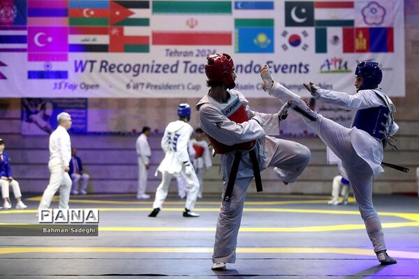 سی و سومین دوره مسابقات بین المللی تکواندو جام فجر