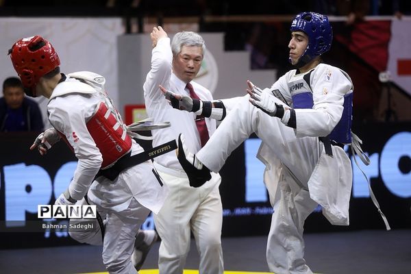 سی و سومین دوره مسابقات بین المللی تکواندو جام فجر