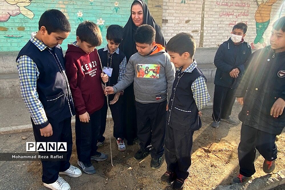 مراسم درختکاری در دبستان امام هادی(ع) ناحیه یک شهرری