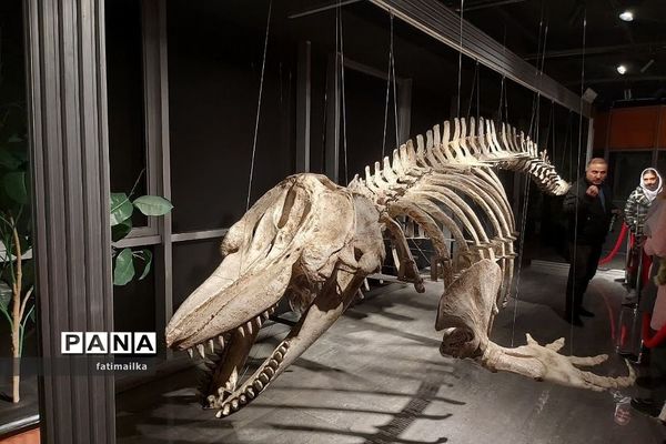 اردوی راهیان پیشرفت دانش‌آموزان دبیرستان غیردولتی اندیشه‌نفیس شهرستان فیروزکوه