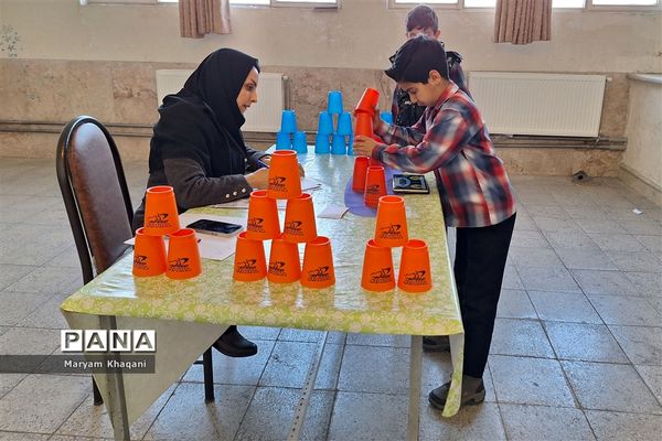المپیاد بازی‌های فکری رویش دانش‌آموزان پسر دبستانی ناحیه 3 شیراز