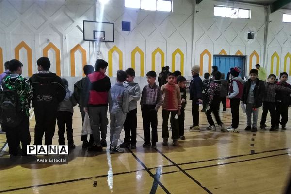 المپیاد بازی‌های فکری رویش دانش‌آموزان پسر دبستانی ناحیه 3 شیراز