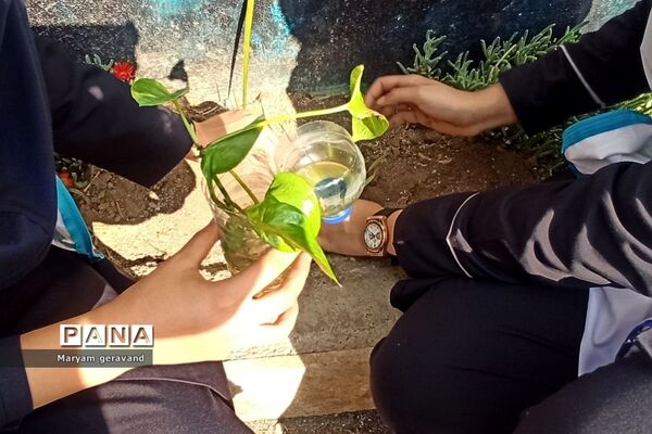 فعالیت سفیران سلامت در دبیرستان شاهد ندای فاطمه(س) به مناسبت روز هوای پاک