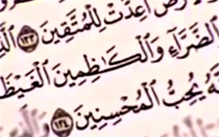 برگزاری نمایشگاه نقاشی و کارگاه با موضوع کنترل خشم در دبستان ارچین/فیلم