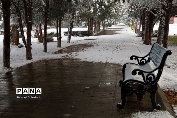 بارش برف در ارومیه