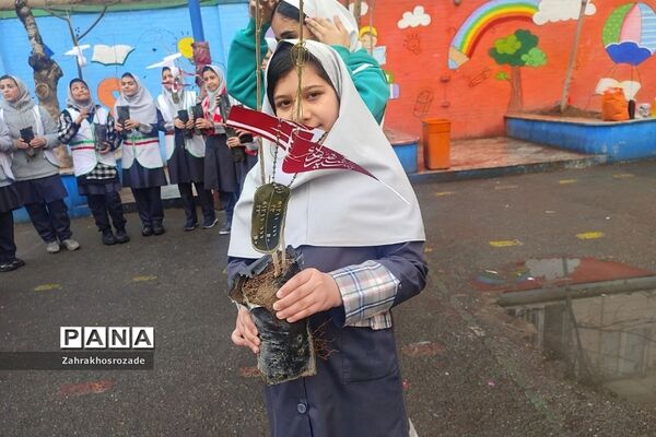 کاشت نهال به یاد شهدای گمنام در دبستان شهید مجیدی ناحیه دو شهرری