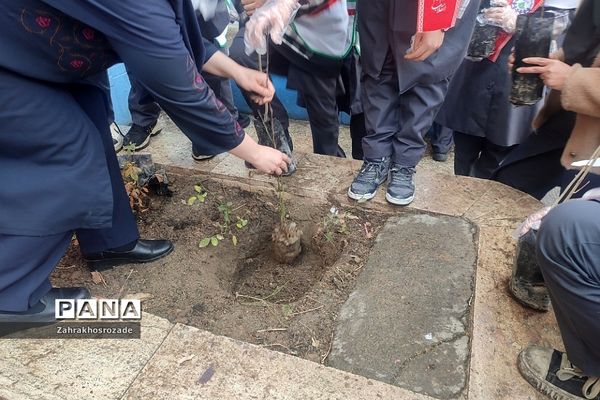 کاشت نهال به یاد شهدای گمنام در دبستان شهید مجیدی ناحیه دو شهرری