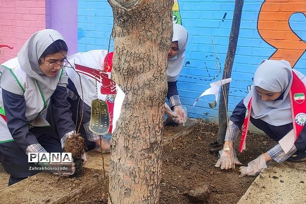 کاشت نهال به یاد شهدای گمنام در دبستان شهید مجیدی ناحیه دو شهرری