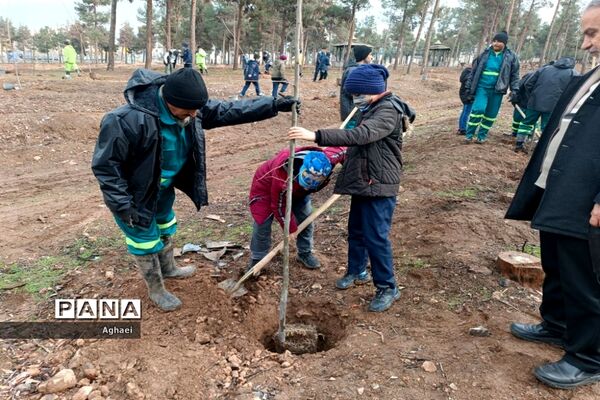 کاشت نهال توسط دانش‌آموزان دبستان پسرانه ابوذر منطقه ۱۳